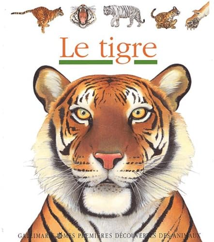 Le Tigre - mes premières découvertes - Sélection du Comité des mamans Hiver 2003 (3-6 ans) 9782070536191