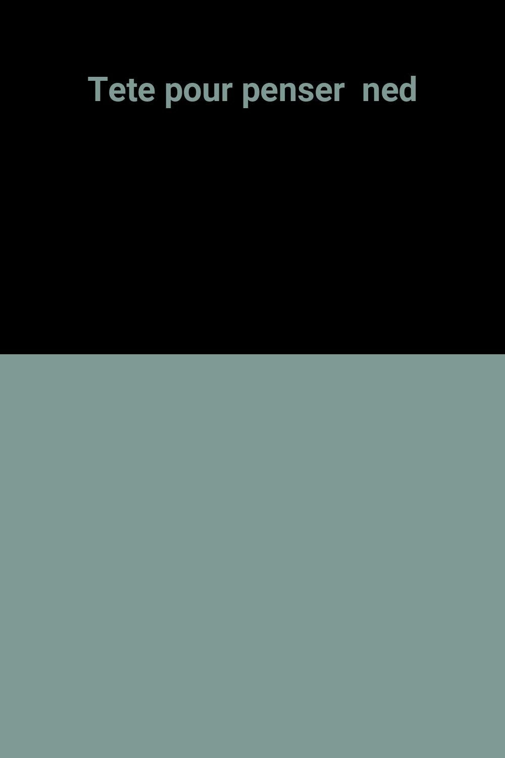 Tete pour penser ned 9782209066797