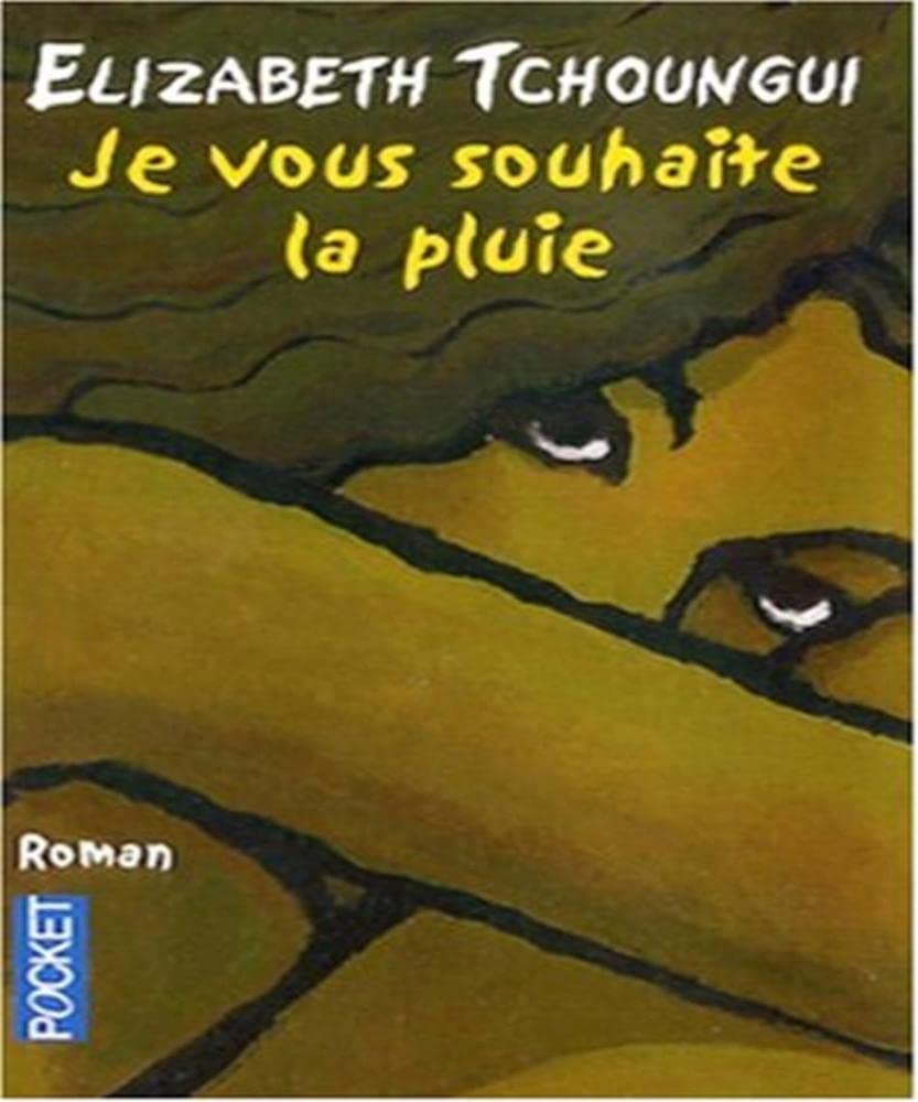 Je vous souhaite la pluie 9782266164818