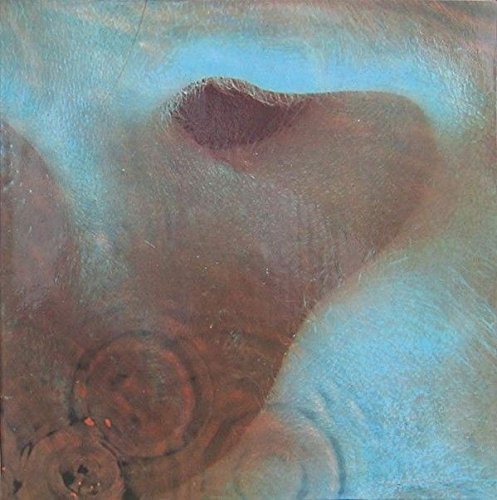 Meddle (France) / SHVL 795