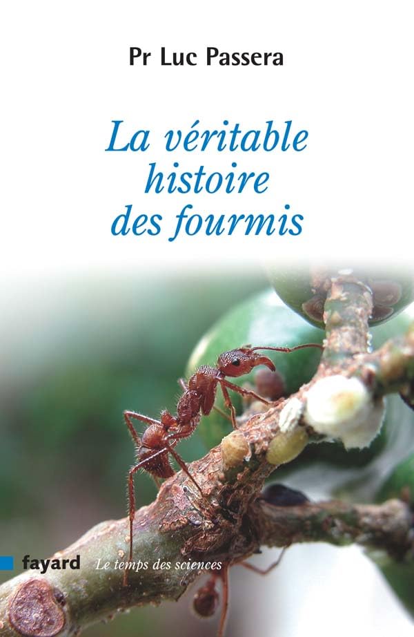 La véritable histoire des fourmis 9782213628868
