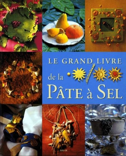 Le grand livre de la pâte à sel 9782263028540