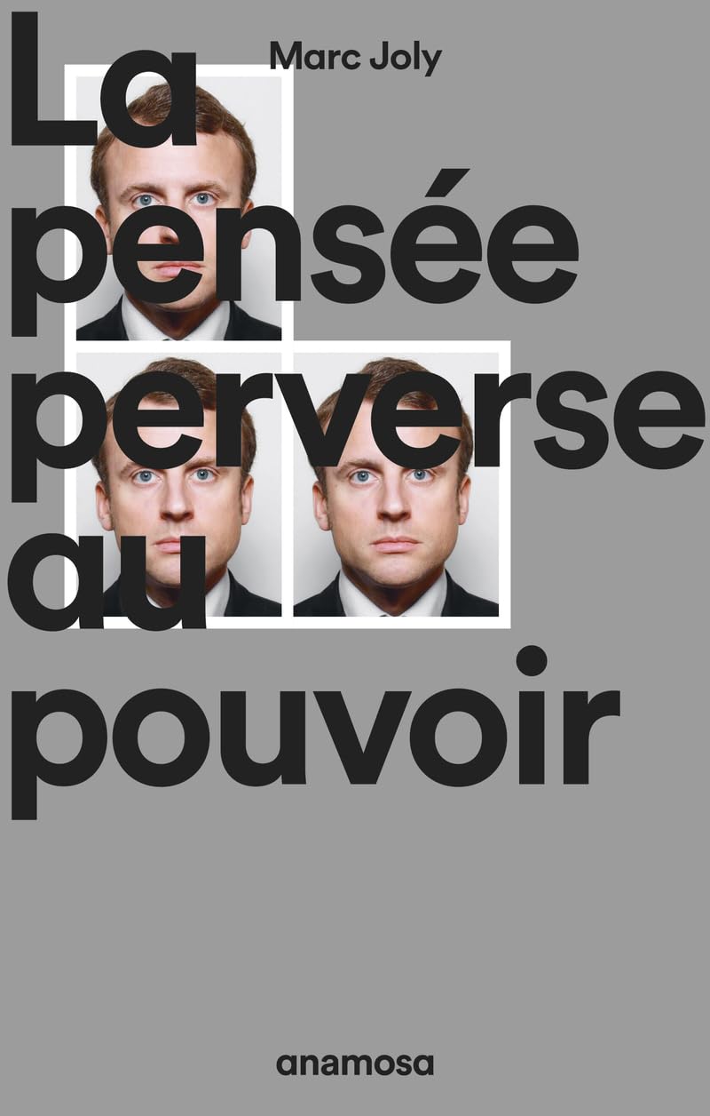 La pensée perverse au pouvoir 9782381911090