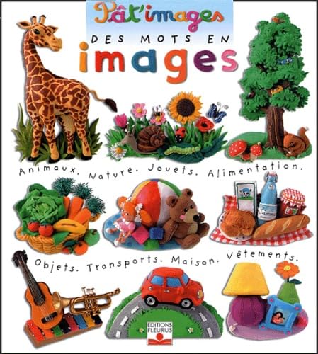 MOTS EN IMAGES (DES) 9782215080152