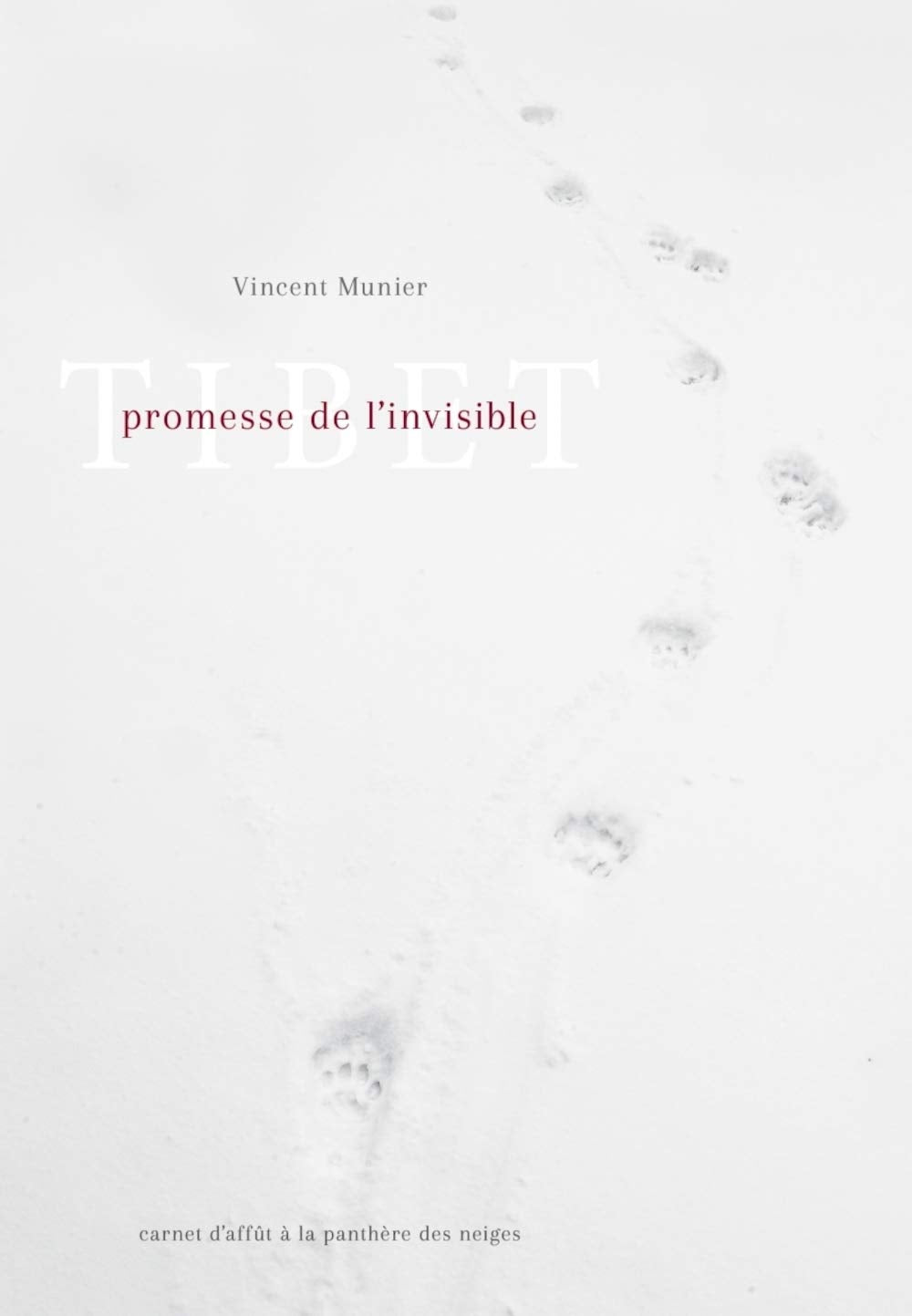 Tibet, promesse de l'invisible 9782953738995