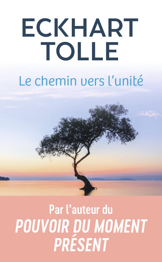 Le chemin vers l'unité 9782290373880
