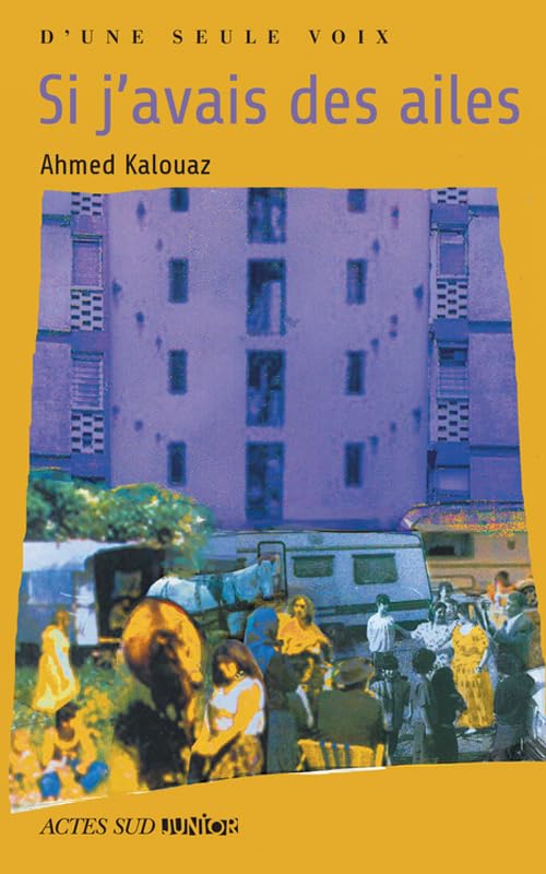 Si j'avais des ailes 9782742773763