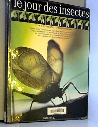 Le jour des insectes 9782070565344