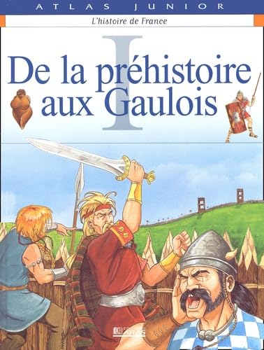 L'Histoire de France , tome 1 : De la préhistoire aux gaulois 9782723440615