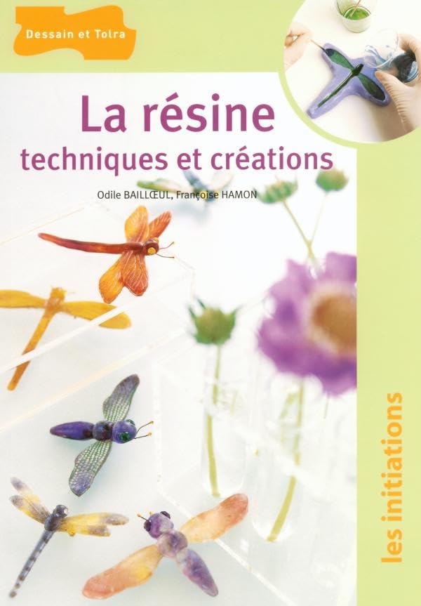 La résine, techniques et créations 9782295000040