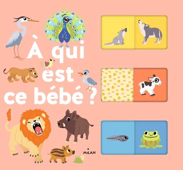 À qui est ce bébé ? 9782408009137