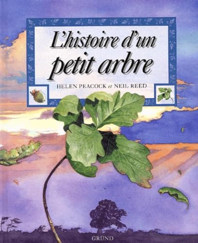 L'Histoire D'Un Petit Arbre 9782700048636