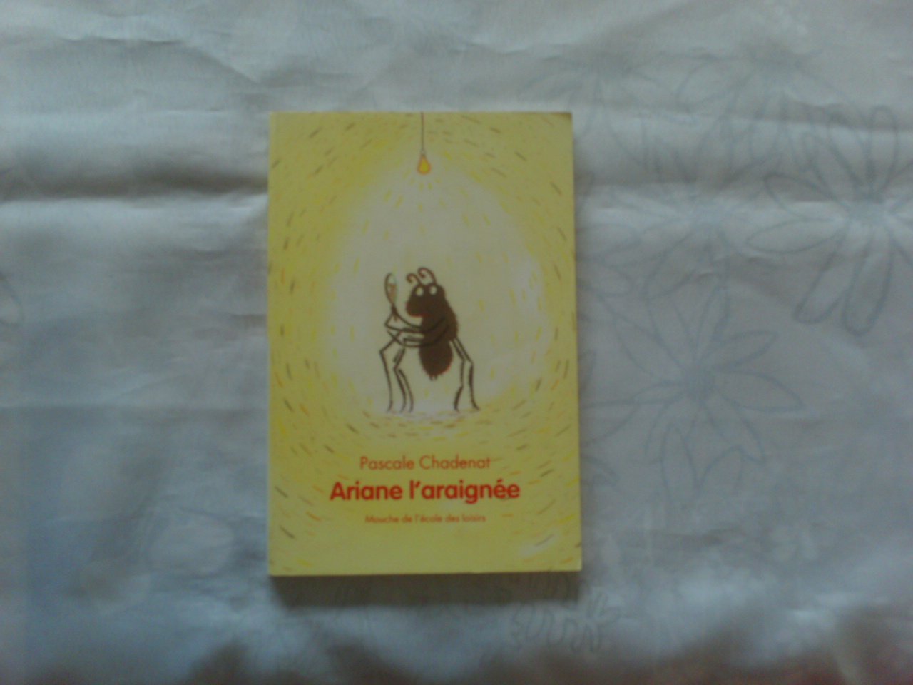 Ariane l'araignée 9782211098090