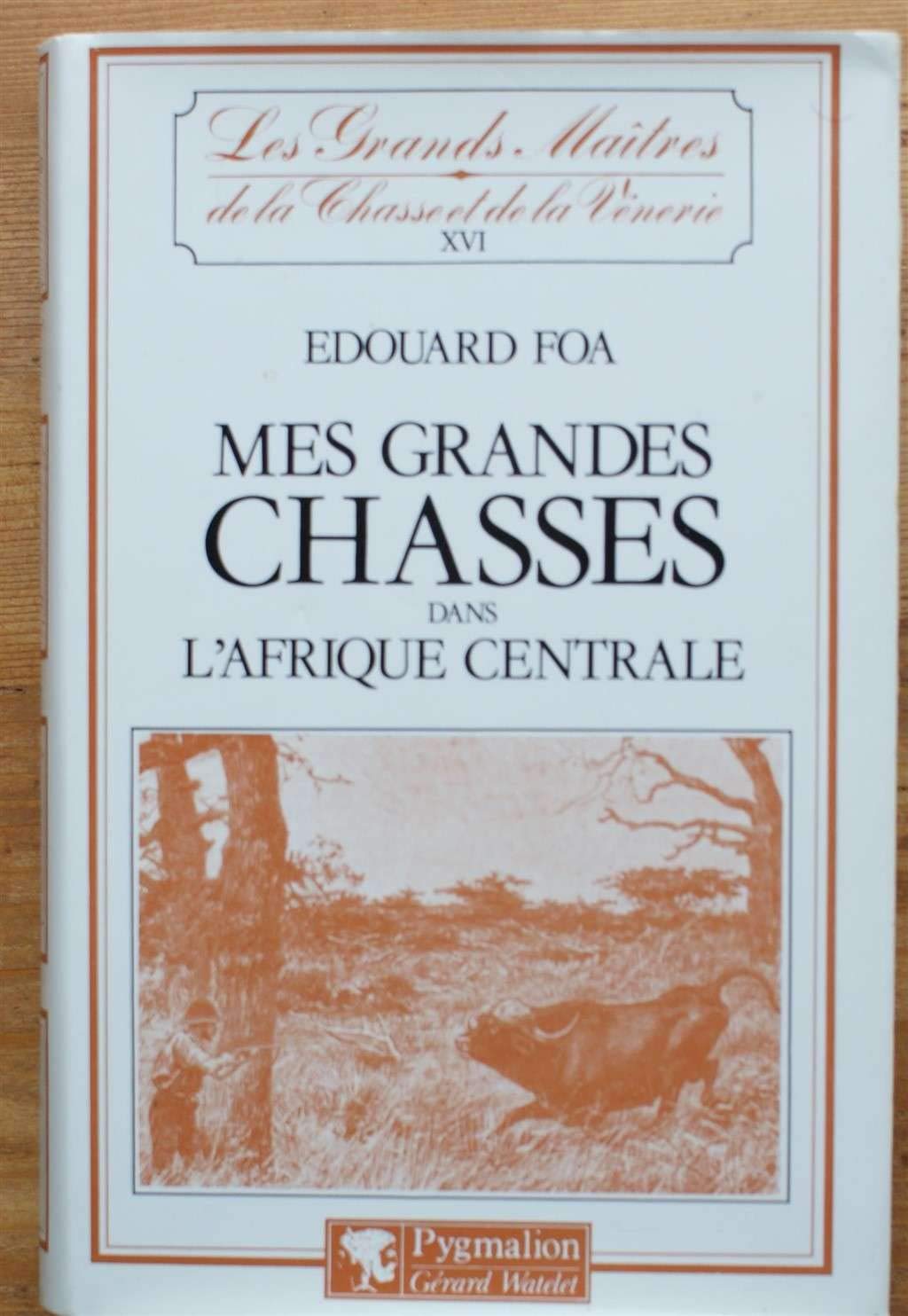 Mes grandes chasses dans l'Afrique centrale 9782857042792