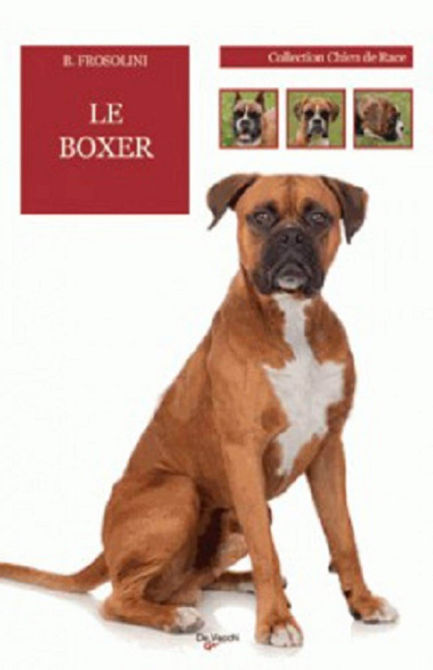 Le boxer 9782732897783