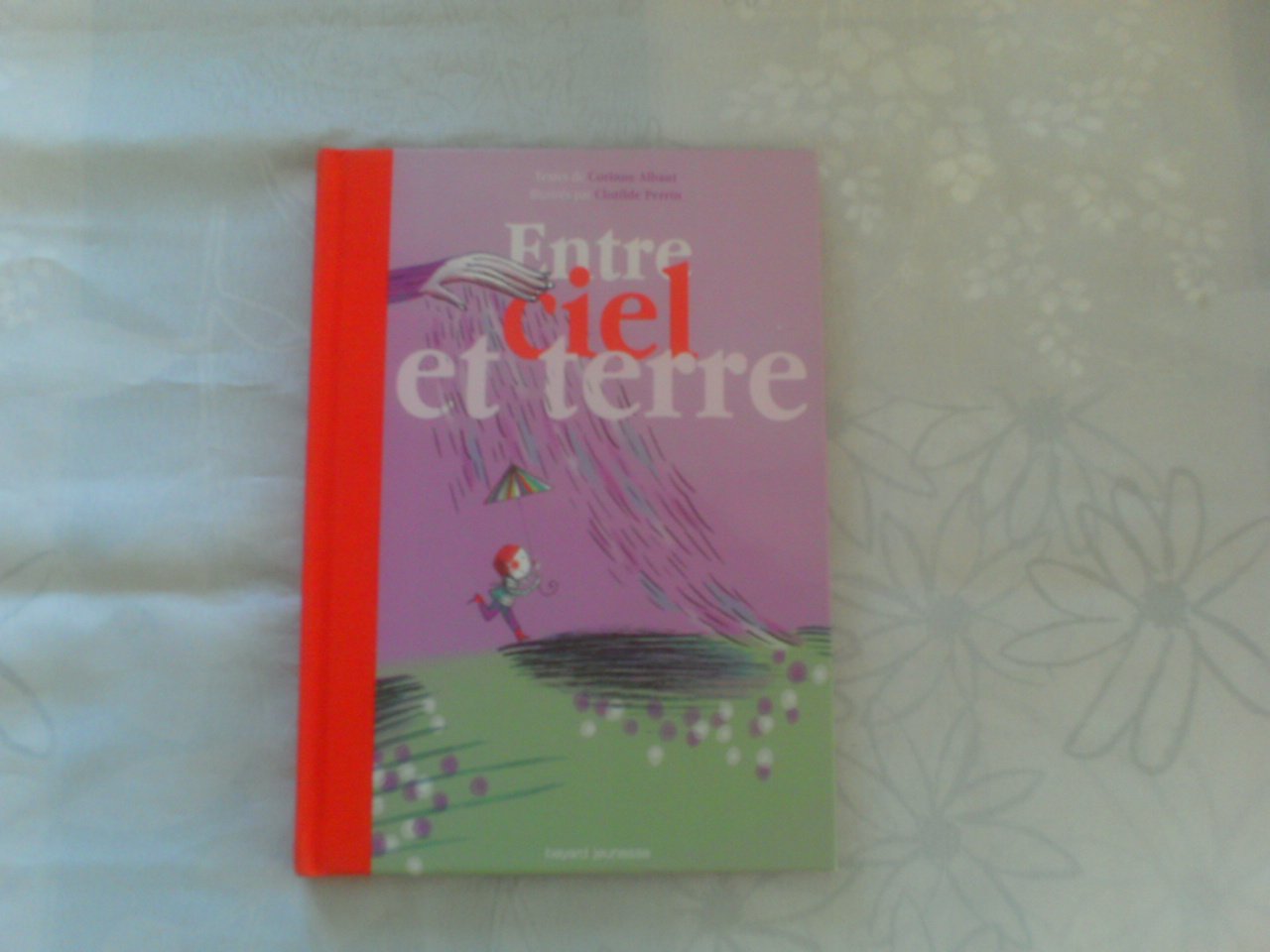 Entre ciel et terre 9782747025058