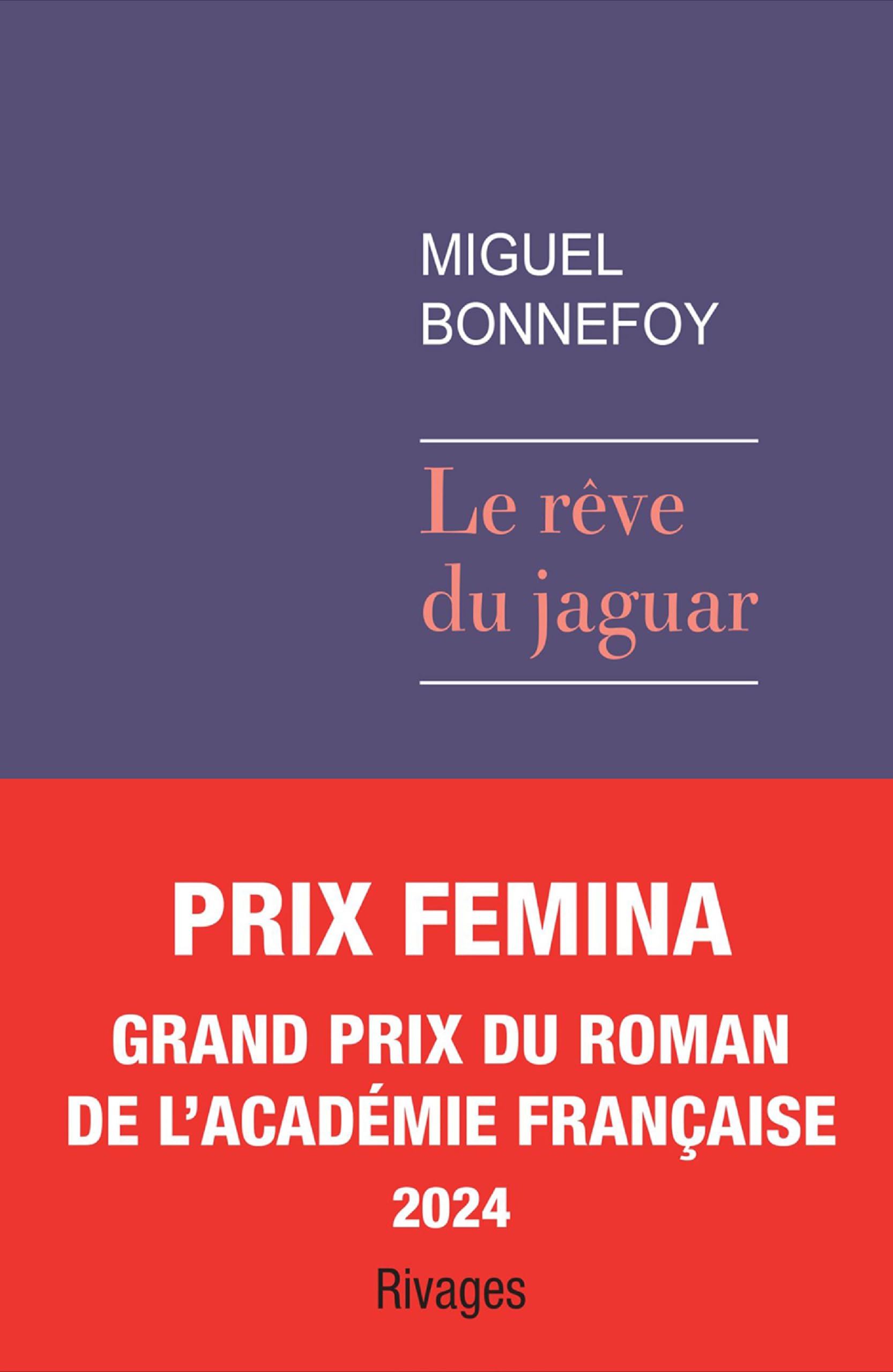 Le rêve du jaguar 9782743664060