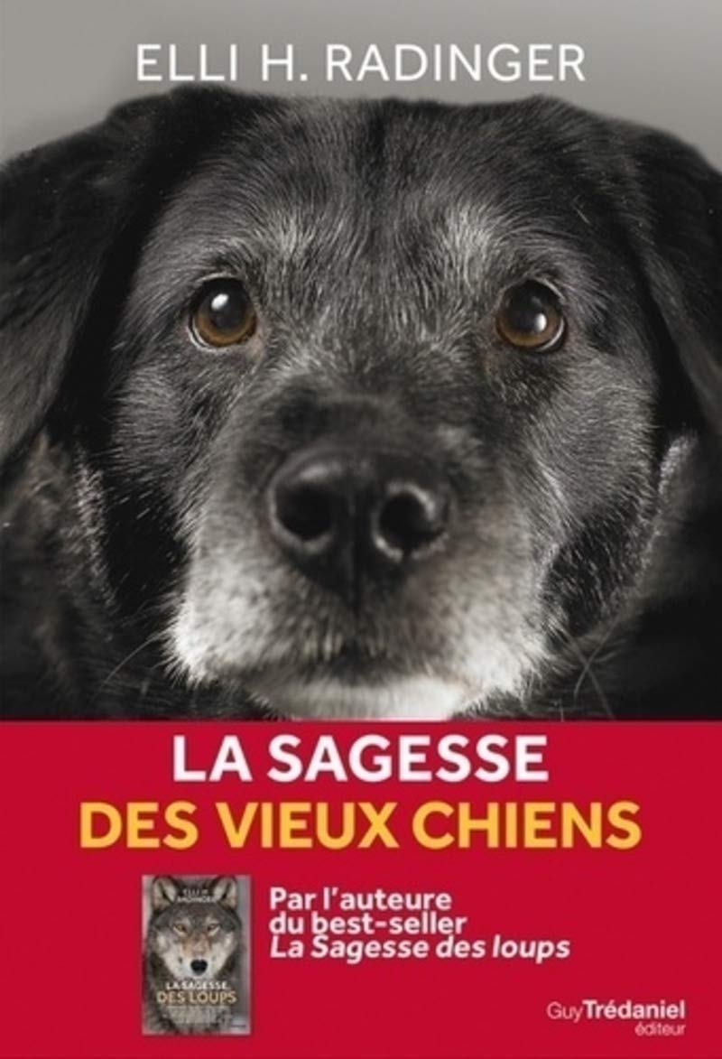 La sagesse des vieux chiens 9782813222459