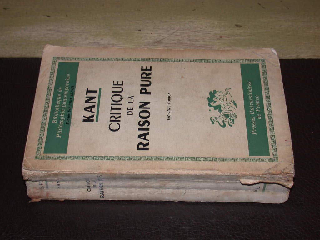 Critique de la raison pure 9782130385455