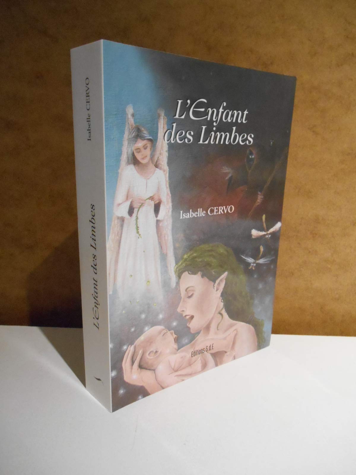 L'Enfant des Limbes 9782748009590