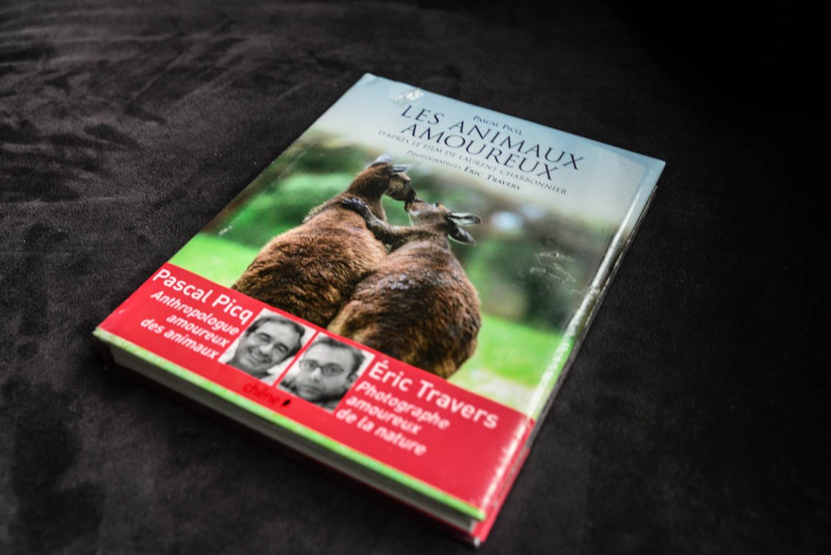 Les animaux amoureux 9782842777340