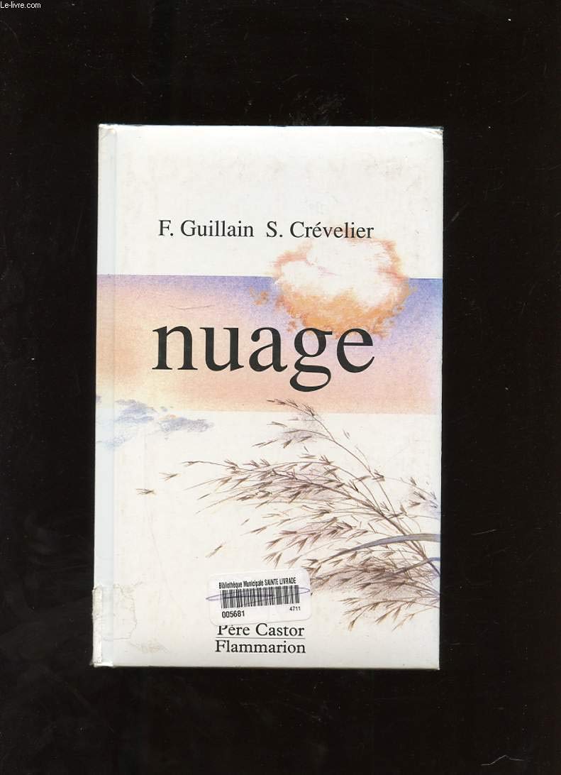 Voyage d'un nuage 9782081626119