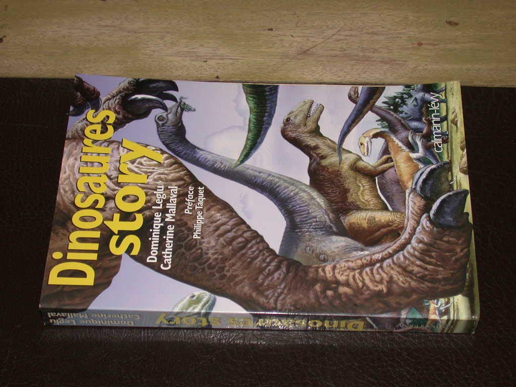 Dinosaures Story. Edition En Francais 9782702127988