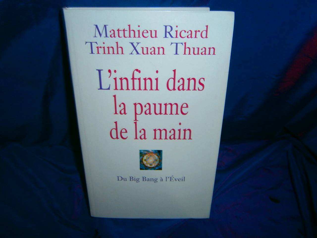 l' Infini Dans La Paume De La Main - Du Big Bang à l' Éveil 9782702859483