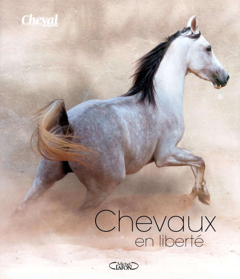 Chevaux en liberté 9782749910697