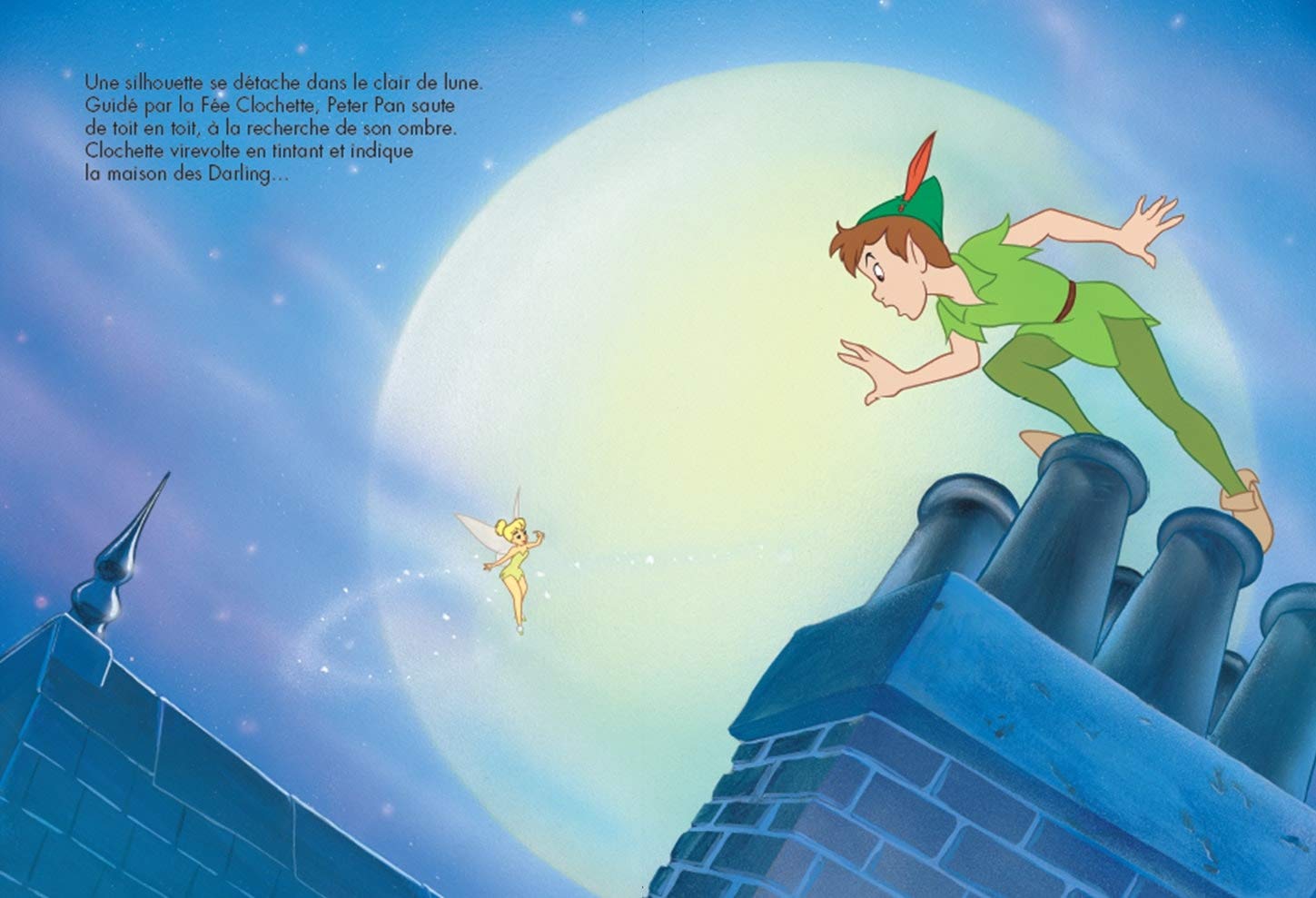 PETER-PAN - Disney Cinéma 9782014632712