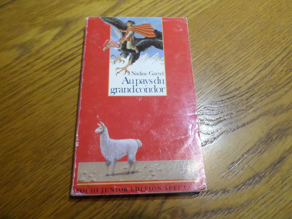 Au pays du grand condor 9782070334865