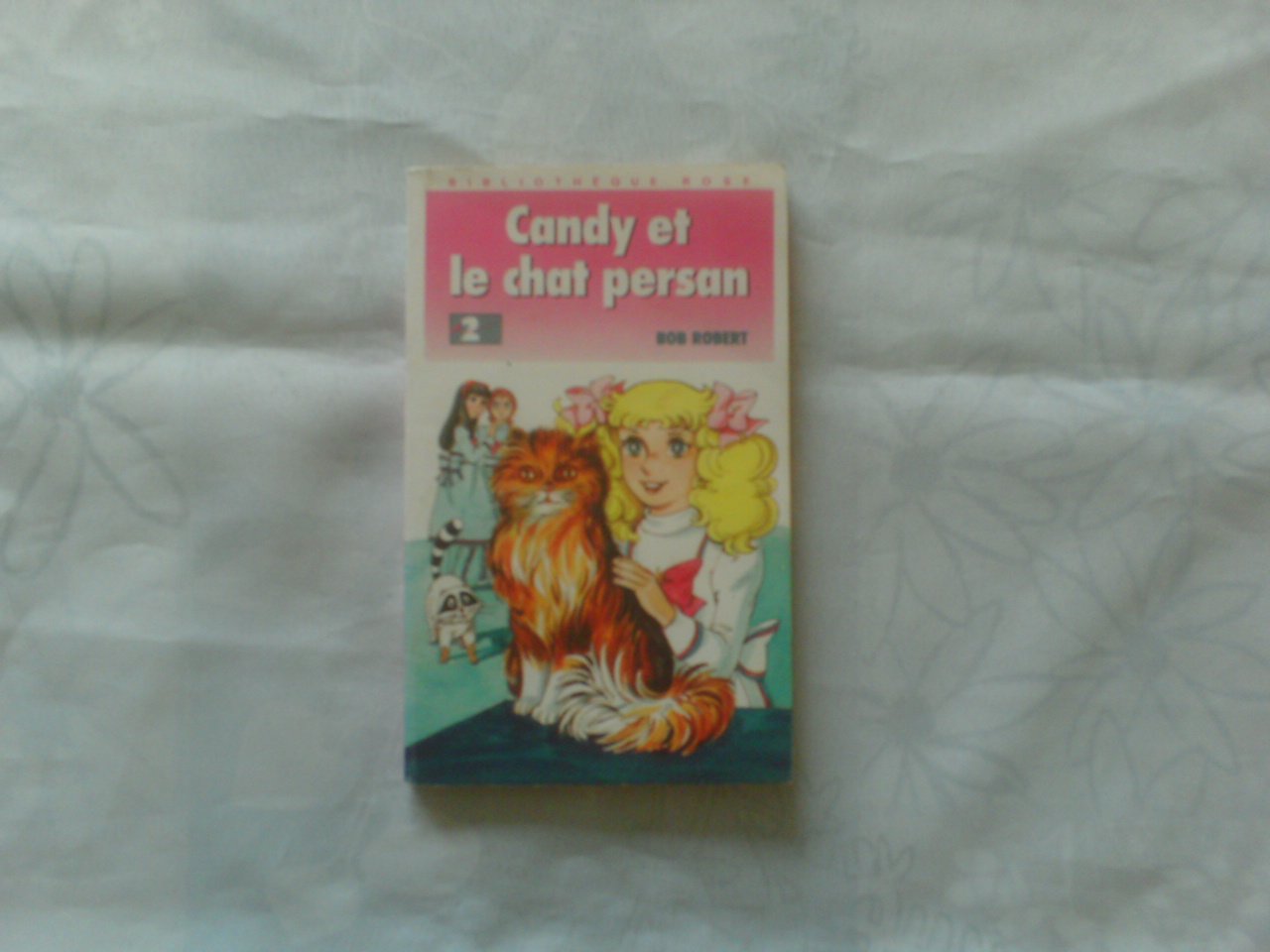 Candy et le chat persan 9782010187476