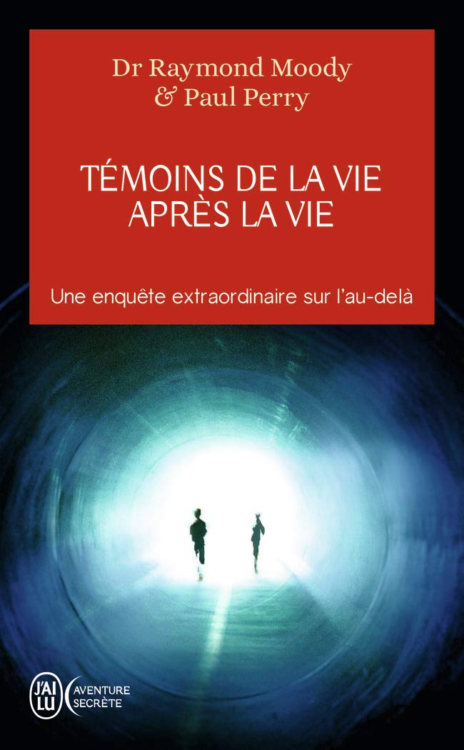 Témoins de la vie après la vie: Une enquête sur les expériences de mort partagée 9782290035191