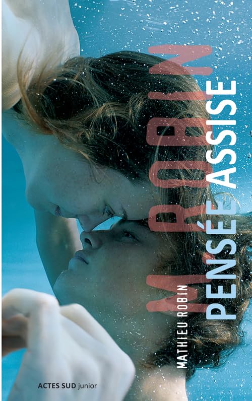 Pensée assise 9782330053611