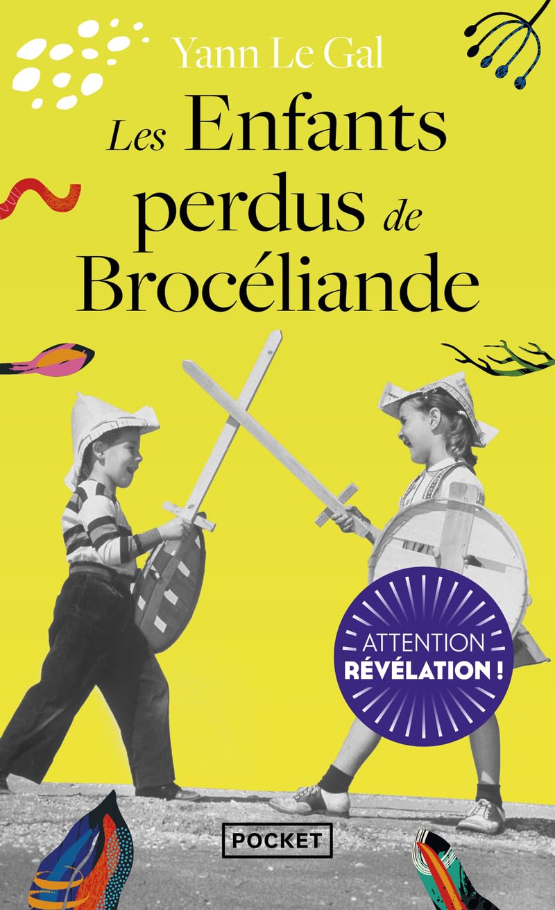 Les Enfants perdus de Brocéliande 9782266346702