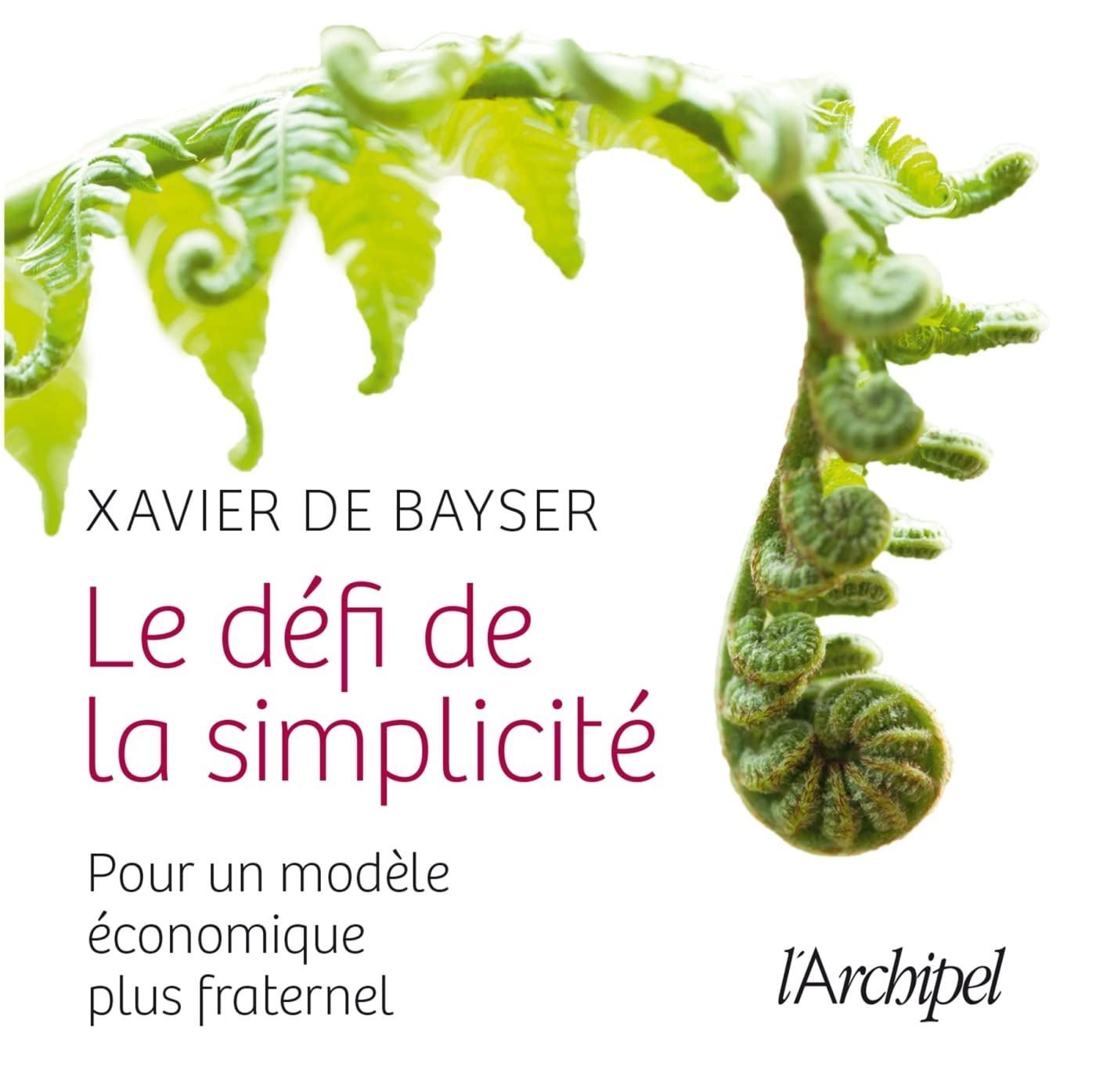 Le défi de la simplicité: Pour un nouveau modèle économique plus fraternel 9782809824049