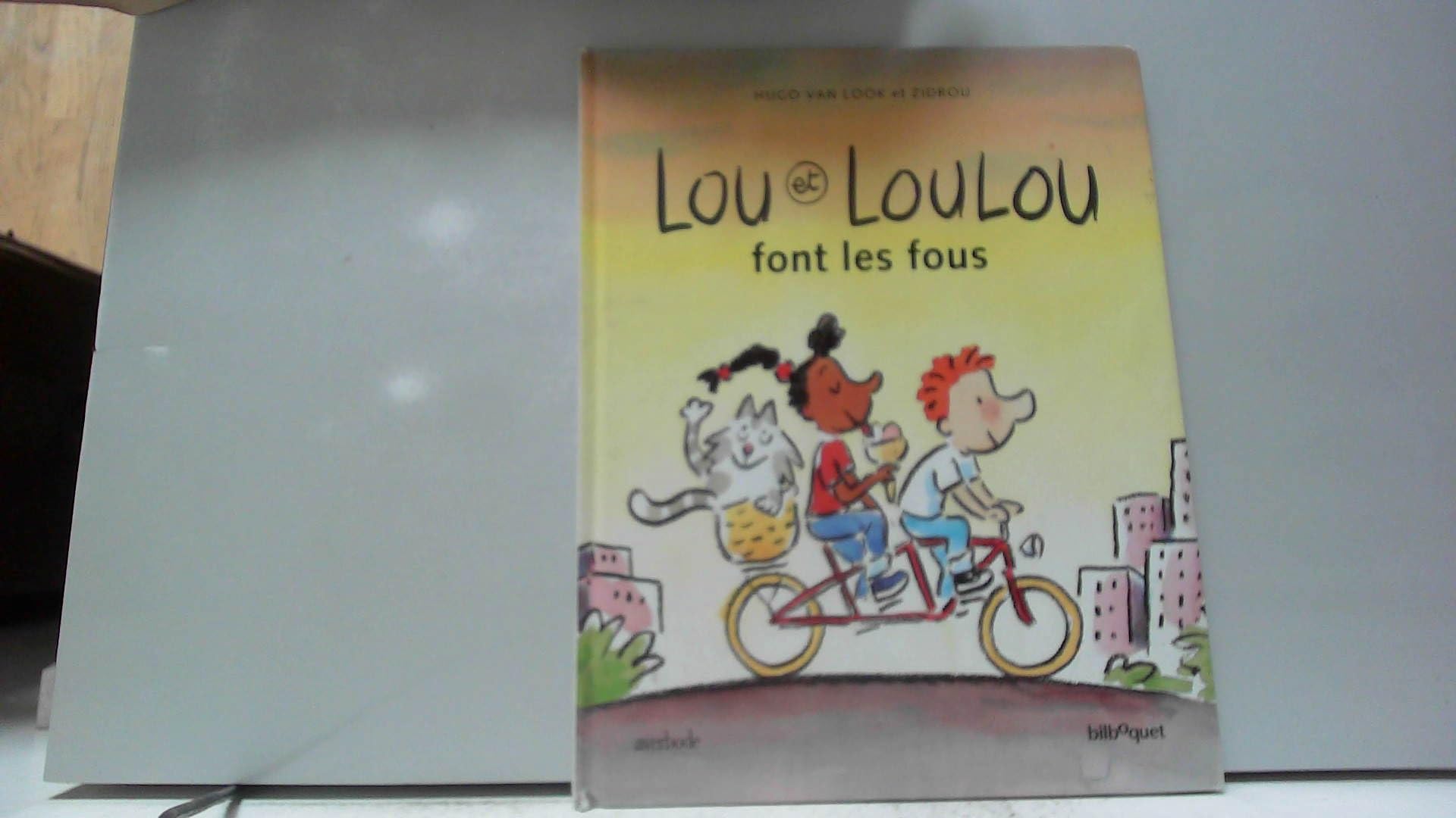 Lou et Loulou font les fous 9782841810420
