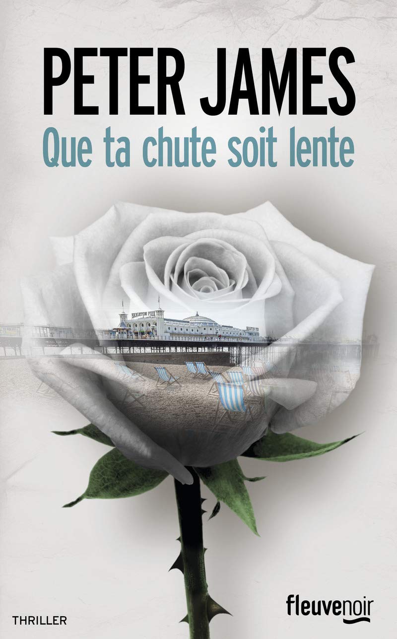 Que ta chute soit lente 9782265097643