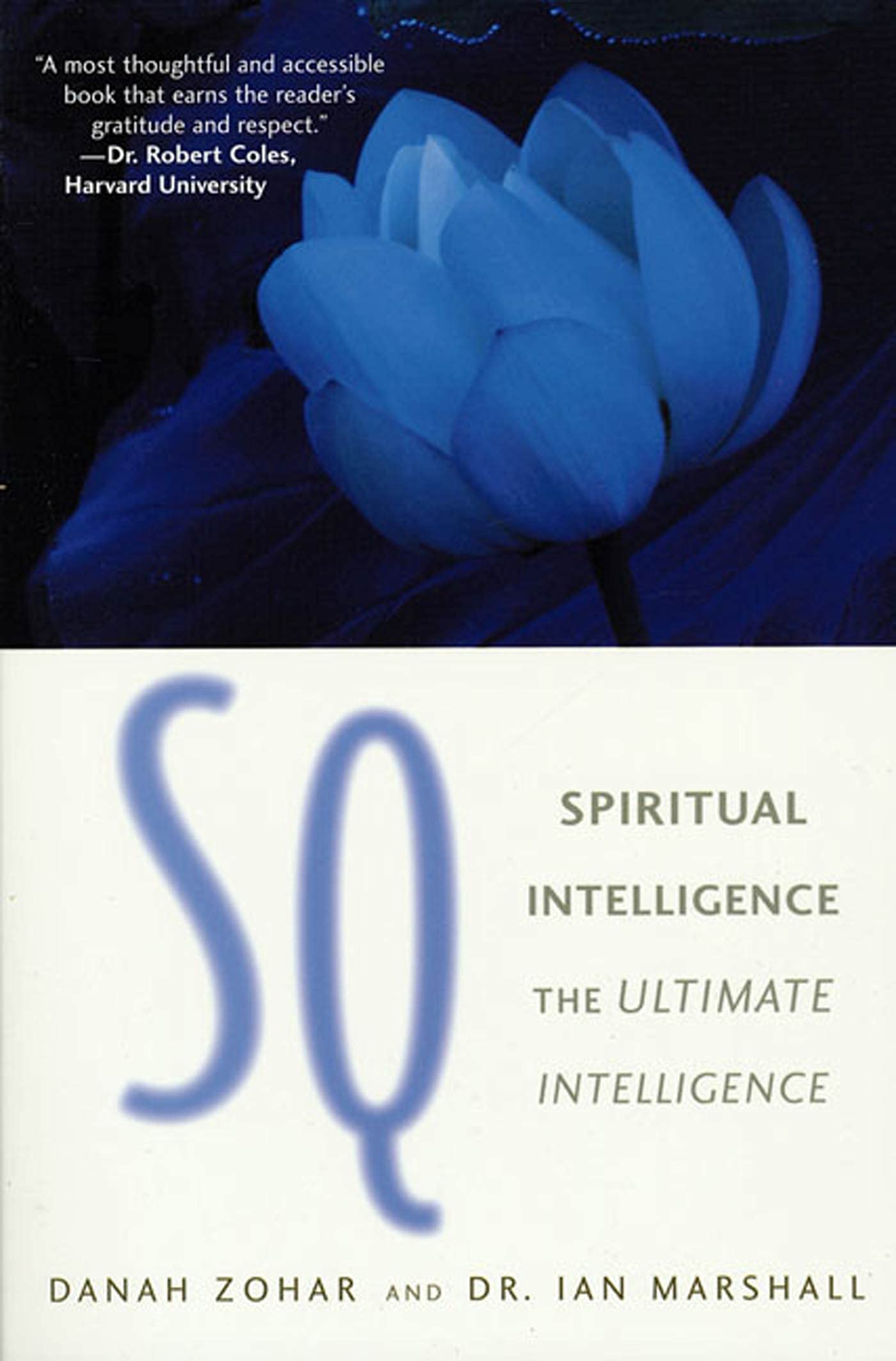 Sq: Connecting With Our Spiritual Intelligence 9781582341316