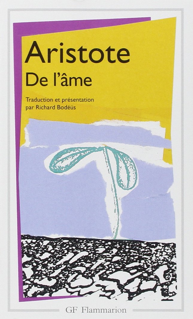 De l'âme 9782080707116