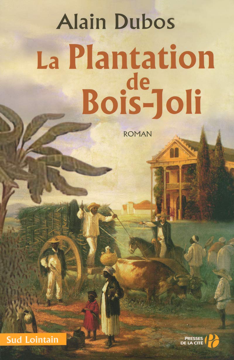 La plantation de Bois-Joli 9782258063341
