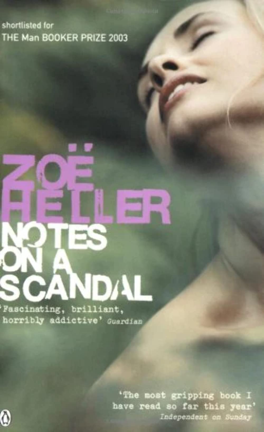 Notes on a Scandal 9780141012254