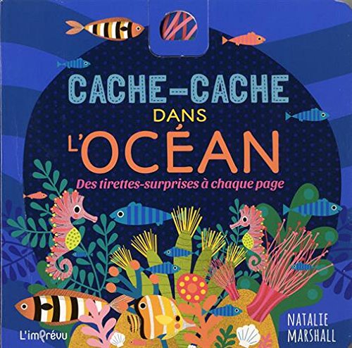 Cahe-cache dans l'océan 9791029504495