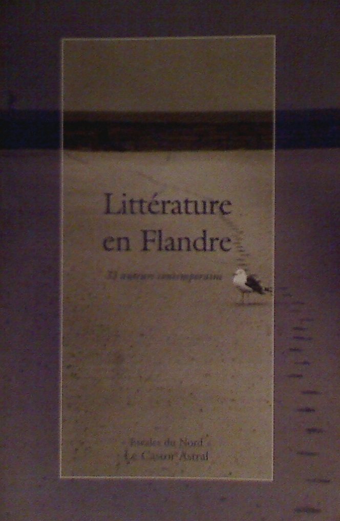 Littérature en Flandre : 33 auteurs contemporains 9782859205119