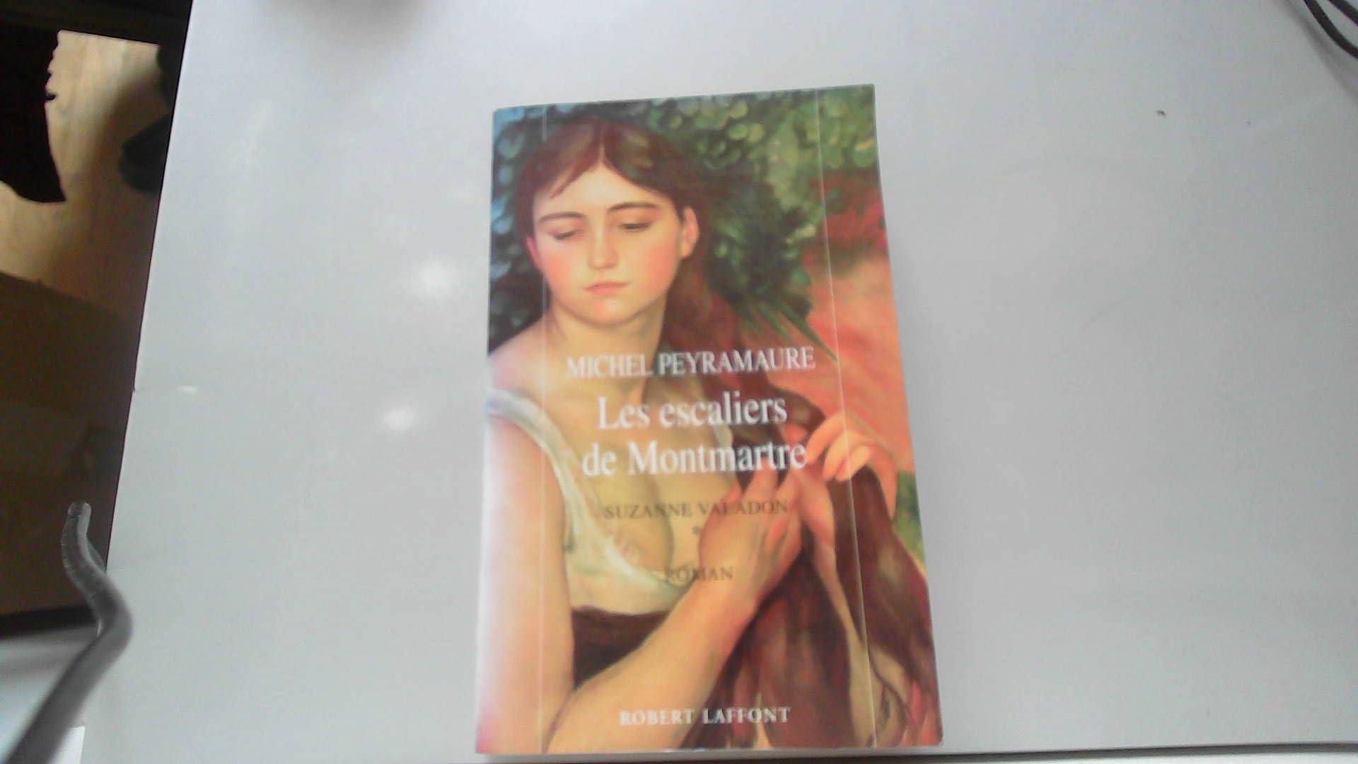Suzanne Valadon: Tome 1 : les escaliers de Montmartre 9782221087091