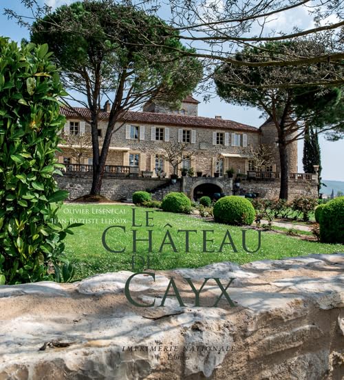 Le Château de Cayx 9782330032739