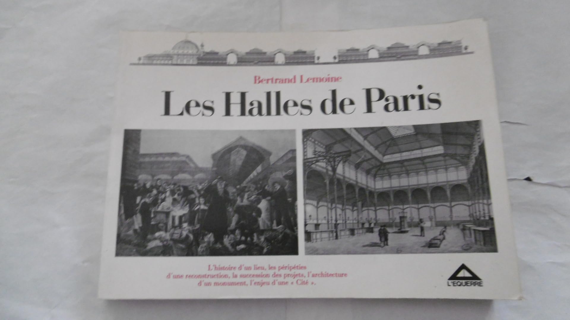 Les Halles de Paris : L'histoire d'un lieu, les péripéties d'une reconstruction, la succession des projets, l'architecture d'un monument, l'enjeu d'une cité (Les Laboratoires de l'imaginaire) 9782864250081