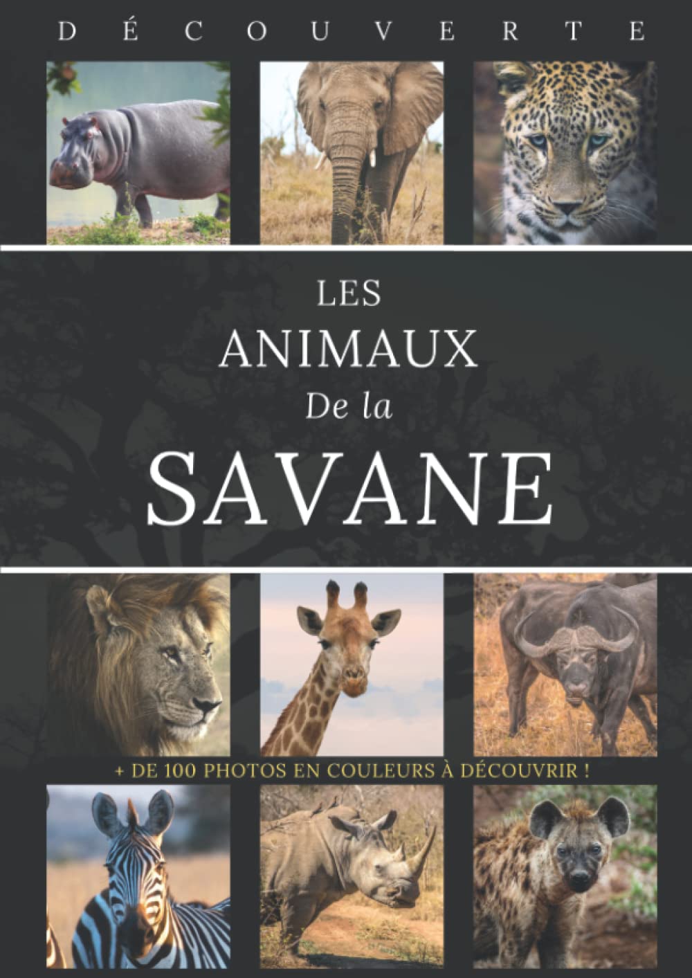 Les animaux de la savane - Collection Découverte: Livre documentaire avec plus de 100 photos couleur pour mieux découvrir la faune emblématique de la savane africaine / Découverte de la vie sauvage 9798802482940