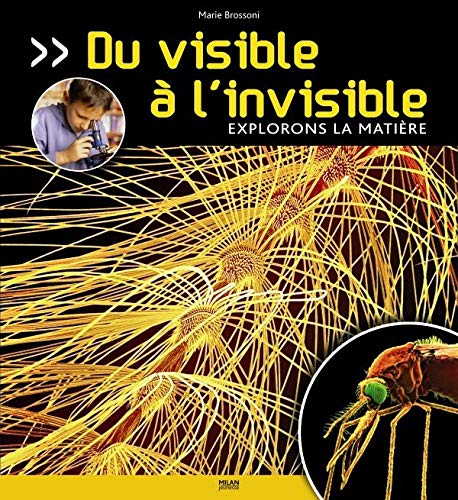 Du visible à l'invisible: Explorons la matière 9782745923073