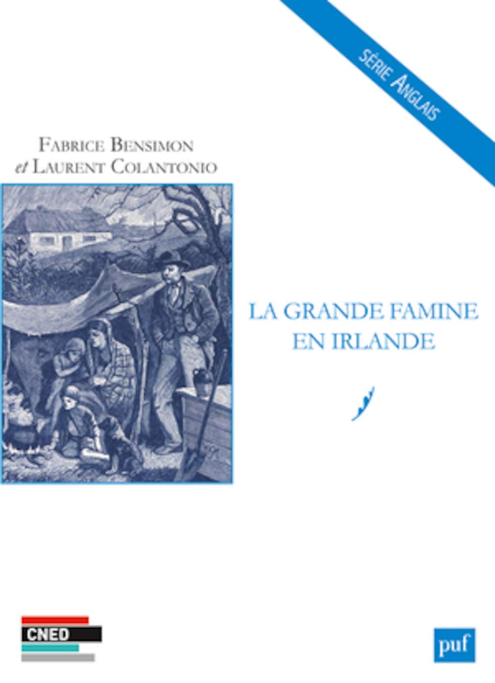 La Grande Famine en Irlande 9782130632948